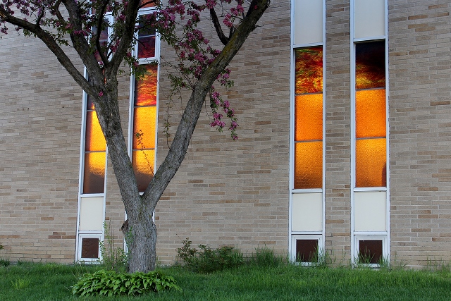 Elmwood Park 03